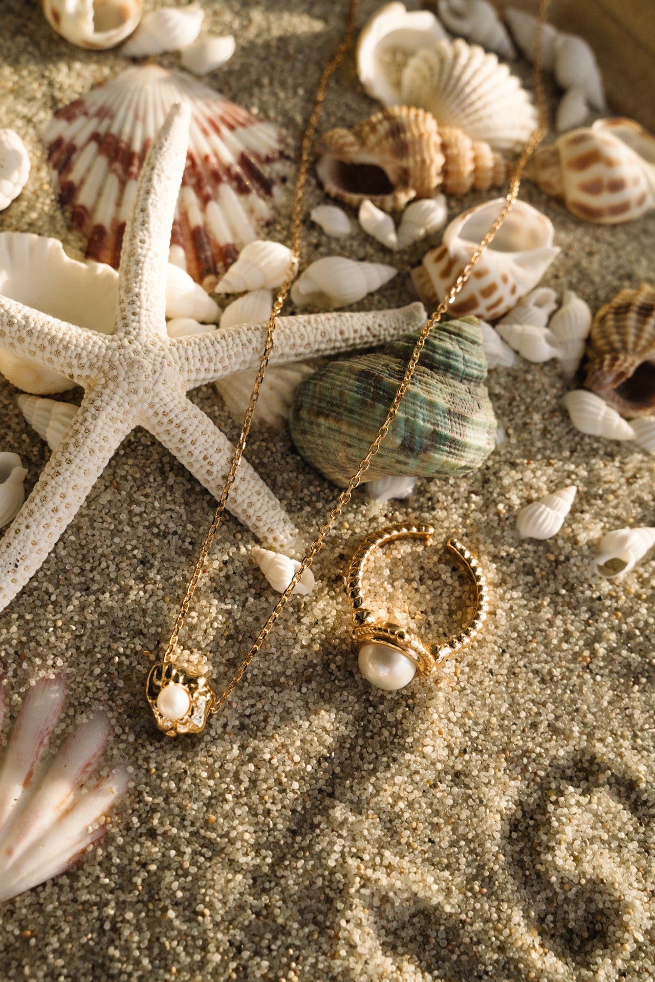 seashell
